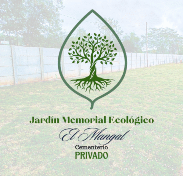 Servicio ofrecido por el Mangal